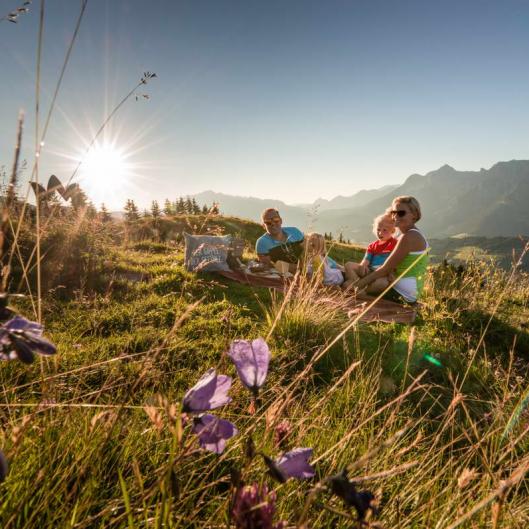 unterleegut ferienwohnungen foto c Hochkoenig Tourismus GmbH 008