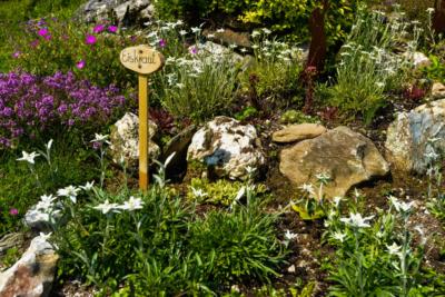Ferienwohnung Mühlbach, Unterleegut Apartments, Mühlbach am HOCHKÖNIG kraeutergarten-hochkoenig-gross  