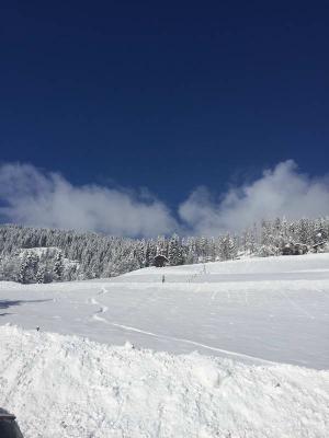 Ferienwohnung Mühlbach, Unterleegut Apartments, Mühlbach am HOCHKÖNIG