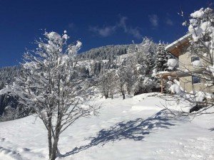 Ferienwohnung Mühlbach, Unterleegut Apartments, Mühlbach am HOCHKÖNIG