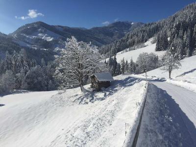 Ferienwohnung Mühlbach, Unterleegut Apartments, Mühlbach am HOCHKÖNIG