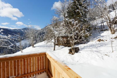 Ferienwohnung Mühlbach, Unterleegut Apartments, Mühlbach am HOCHKÖNIG 8N4A2591 DxO raw DxOVP  