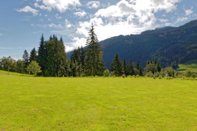 Ferienwohnung Mühlbach, Unterleegut Apartments, Mühlbach am HOCHKÖNIG unterlee ferienwohnungen  023 DxO DxO 