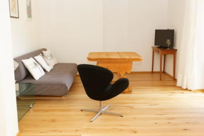 Ferienwohnung Mühlbach, Unterleegut Apartments, Mühlbach am HOCHKÖNIG unterlee ferienwohnungen  050 DxO   