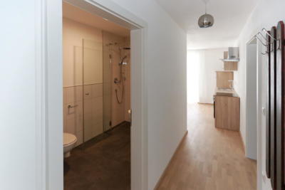 Ferienwohnung Mühlbach, Unterleegut Apartments, Mühlbach am HOCHKÖNIG 8N4A2576 DxO  