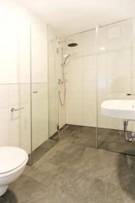 Ferienwohnung Mühlbach, Unterleegut Apartments, Mühlbach am HOCHKÖNIG 8N4A2579 DxO  