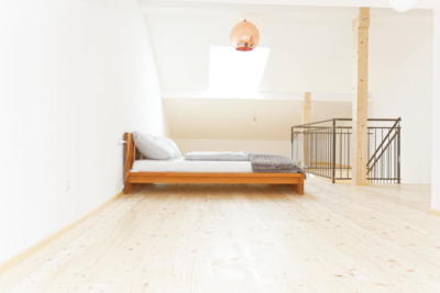 Ferienwohnung Mühlbach, Unterleegut Apartments, Mühlbach am HOCHKÖNIG unterlee ferienwohnungen  061 DxO   